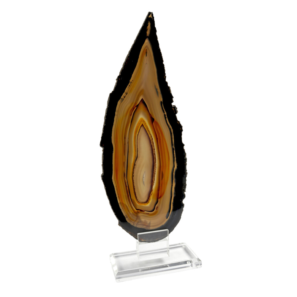 Image 2 for Agate Slice On Acrylic Screw-in Stands With Black Edge And Rainbow Interior With Druze Pocket