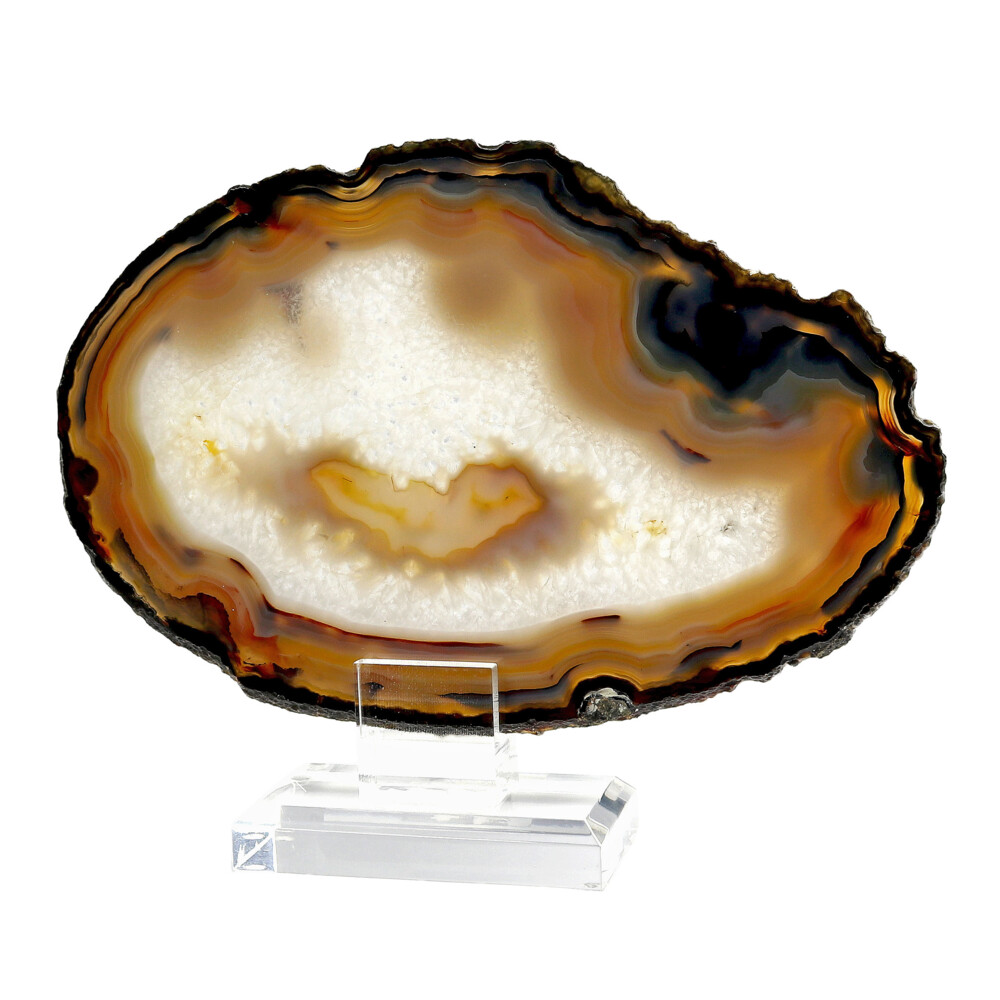 Image 2 for Agate Slice on Acrylic Screw-in Stand with Colorful Densely Banded Edge