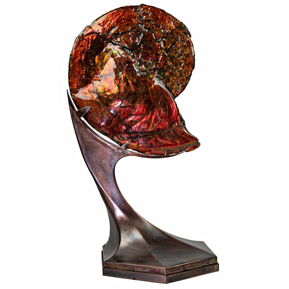 Image 2 for Ammonite And Ammolite Fossil In Custom Spinning Futuristic Stand