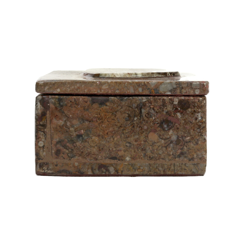 Image 2 for Ammonite Fossil Box 3.5"