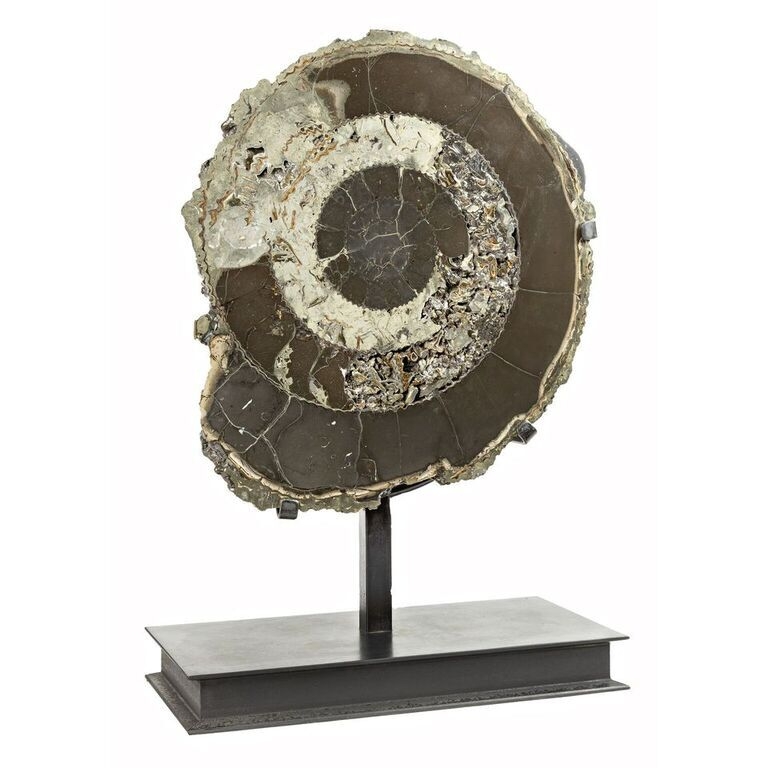 <font size="4"><span style="font-family: Arial;"><font size="4">Intricate and lustrous pyritized ammonite fossil half from Russia. The sleek lines of the custom hand-crafted, minimalist-style, metal stand quietly showcase the allure of the almost hypnotic, Fibonacci-like spiral lines of this mind-boggling fossil.</font></span> </font> Pyritized Ammonite Half from Russia In Custom Stand