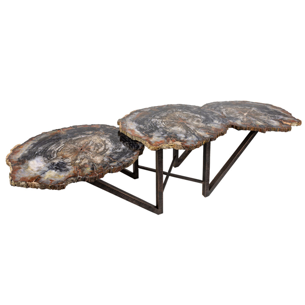 <font size="4">Three awe inspiring slices of polished Arizona Petrified Wood with preserved bark edges make up the three tiers of this hand-forged textured steel angular base coffee table. Arizona petrified wood is estimated to be 180,000,000 years old; a rock-solid timeless classic, just like this coffee table!</font> Arizona Petrified Wood Trio Slice Coffee Table With Hand Forged Base