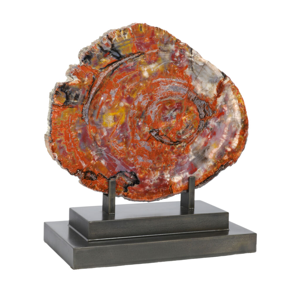 <span></span><span style="font-family: Arial;"><span style="font-family: Quicksand;"><font size="4">A bold and beautiful slice of polished Arizona Petrified Wood. This Arizona Petrified Wood slice is set into a custom designed and crafted metal stand with a rich custom blended patina. Black, mauve and gold tones flow through out this slice of polished Arizona Petrified Wood. This art piece will definitely turn heads.</font></span></span> Arizona Petrified Wood Slice -Black with Mauves & Gold In Custom Stand