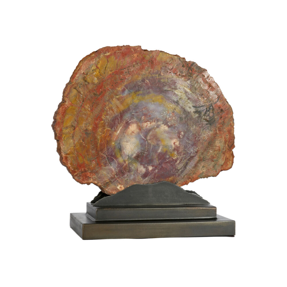 Image 2 for Arizona Petrified Wood Slice On Custom Mountain Stand