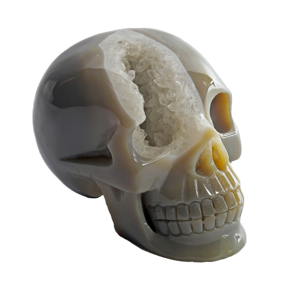 <span style="position: initial; margin: initial;"></span><span style="font-family: "EB Garamond"; position: initial; margin: initial;">Agate Geode Skull Carving With Druze.</span><div style="position: initial; margin: initial;"><p style="margin: initial; font-variant-numeric: normal; font-variant-east-asian: normal; font-stretch: normal; line-height: normal; font-family: "EB Garamond"; color: rgb(0, 0, 0); position: initial;"><span style="position: initial; margin: initial; font-family: "EB Garamond";"><font size="4" style="">Agates </font></span><span style="font-size: 1.2rem;">are fully formed geodes, consisting of non-crystalizing varieties</span></p><p style="margin: initial; font-variant-numeric: normal; font-variant-east-asian: normal; font-stretch: normal; line-height: normal; font-family: "EB Garamond"; color: rgb(0, 0, 0); position: initial;"><font size="4">of silica, primarily, chalcedony. The first layer of any geode, is usually</font></p><p style="margin: initial; font-variant-numeric: normal; font-variant-east-asian: normal; font-stretch: normal; line-height: normal; font-family: "EB Garamond"; color: rgb(0, 0, 0); position: initial;"><font size="4">agate at a variable quantity; less agate may cause thinner geodes; more</font></p><p style="margin: initial; font-variant-numeric: normal; font-variant-east-asian: normal; font-stretch: normal; line-height: normal; font-family: "EB Garamond"; color: rgb(0, 0, 0); position: initial;"><font size="4">fragile. Thicker agate gives more protection to the crystals formed within</font></p><p style="margin: initial; font-variant-numeric: normal; font-variant-east-asian: normal; font-stretch: normal; line-height: normal; font-family: "EB Garamond"; color: rgb(0, 0, 0); position: initial;"><font size="4">the pocket. Trace minerals produce the vast range of colors found within</font></p><p style="margin: initial; font-variant-numeric: normal; font-variant-east-asian: normal; font-stretch: normal; line-height: normal; font-family: "EB Garamond"; color: rgb(0, 0, 0); position: initial;"><font size="4">these cosmic stones. Most colors of agates have their own identifying</font></p><p style="margin: initial; font-variant-numeric: normal; font-variant-east-asian: normal; font-stretch: normal; line-height: normal; font-family: "EB Garamond"; color: rgb(0, 0, 0); position: initial;"><font size="4">names, ie Red/Orange = Carnelian. Agate is thought to increase courage,</font></p><p style="margin: initial; font-variant-numeric: normal; font-variant-east-asian: normal; font-stretch: normal; line-height: normal; font-family: "EB Garamond"; color: rgb(0, 0, 0); position: initial;"><font size="4">energy, and self-confidence; also promotes longevity. Depending on</font></p><p style="font-variant-numeric: normal; font-variant-east-asian: normal; font-stretch: normal; line-height: normal; font-family: "EB Garamond"; color: rgb(0, 0, 0); position: initial; margin: initial;"><font size="4">color, chakra correspondence shifts from root through crown.</font></p></div> Agate Geode Skull Carving With Druze