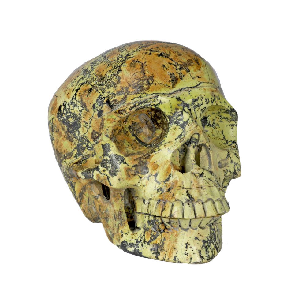 Image 2 for Yellow Turquoise Skull Medium