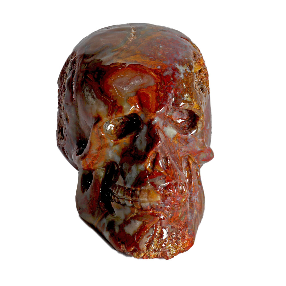 Image 2 for Crazy Lace Agate Skull Small