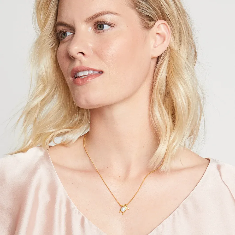 Image 2 for Turtle Delicate Necklace